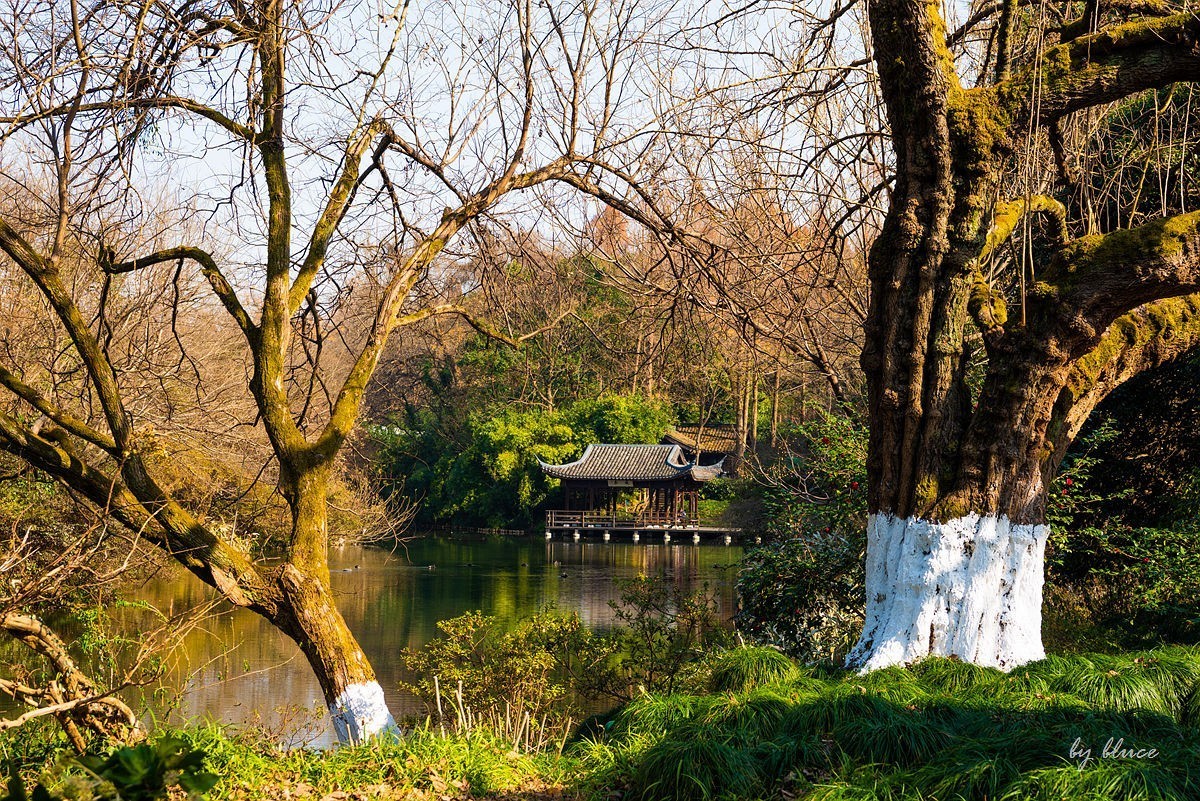 西湖冬景（15）