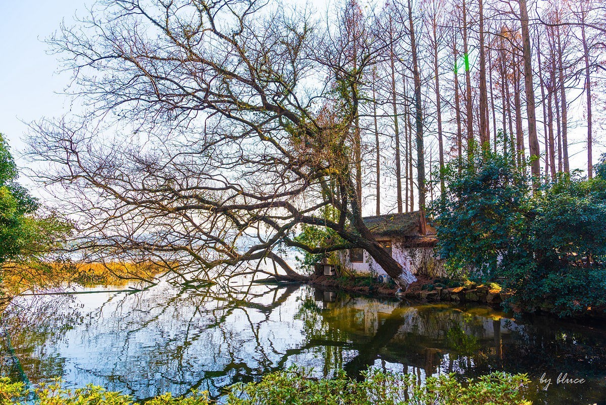 西湖冬景（15）