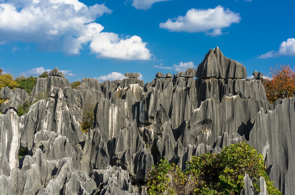 石林公园的地点和景点图片