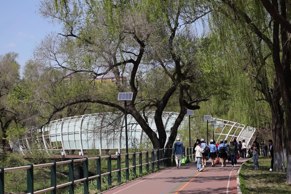 5.2日---公园漫步