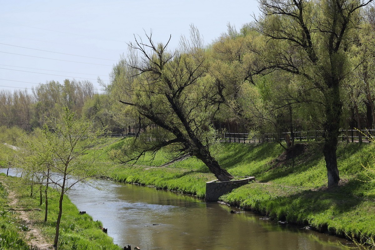 5.2日---公园漫步