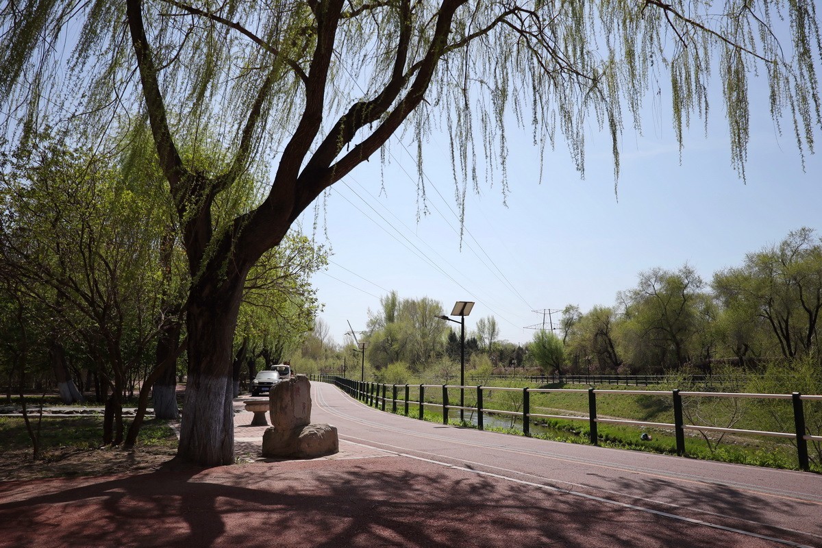 5.2日---公园漫步