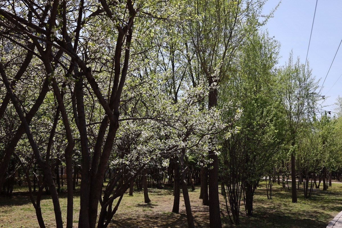 5.2日---公园漫步