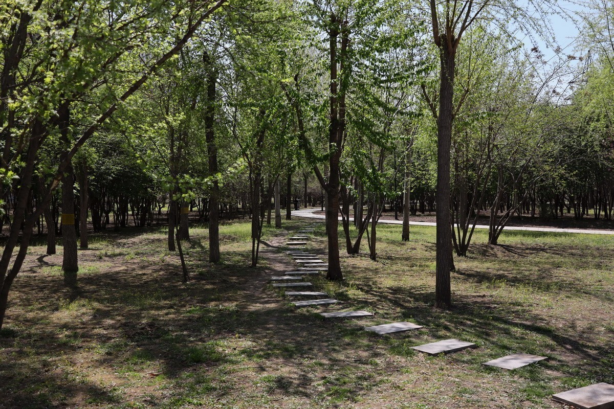 5.2日---公园漫步