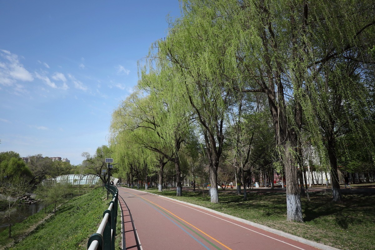 5.2日---公园漫步