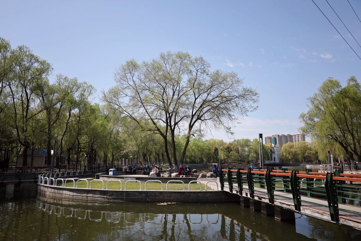 5.2日---公园漫步