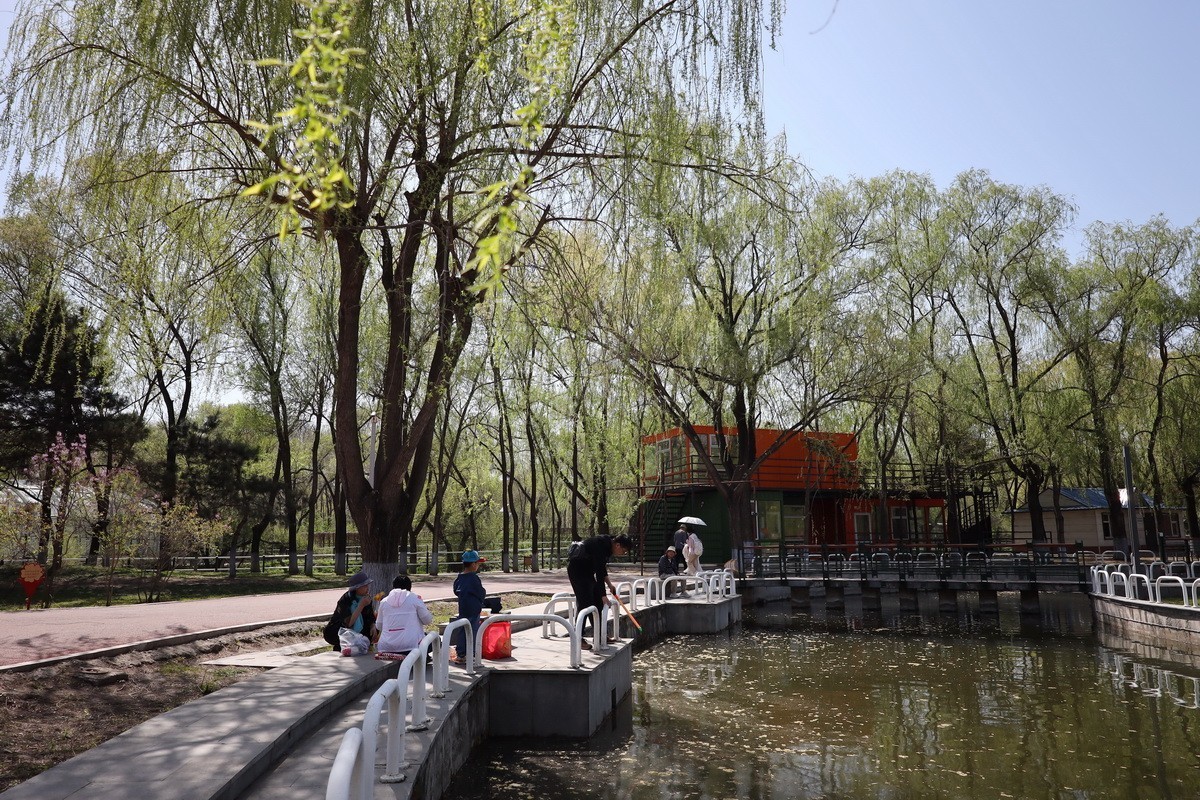 5.2日---公园漫步