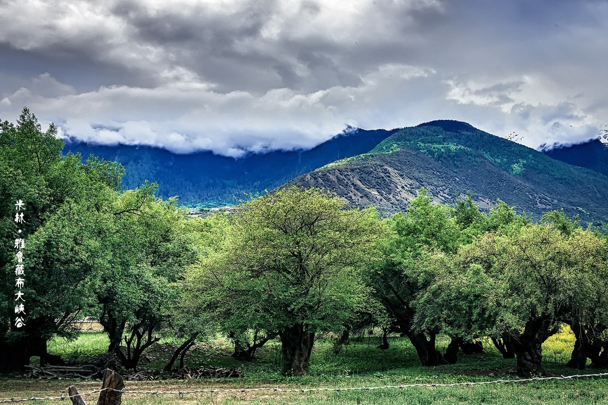 雅鲁藏布大峡谷