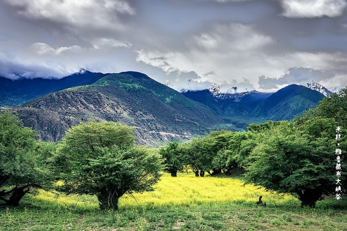 雅鲁藏布大峡谷