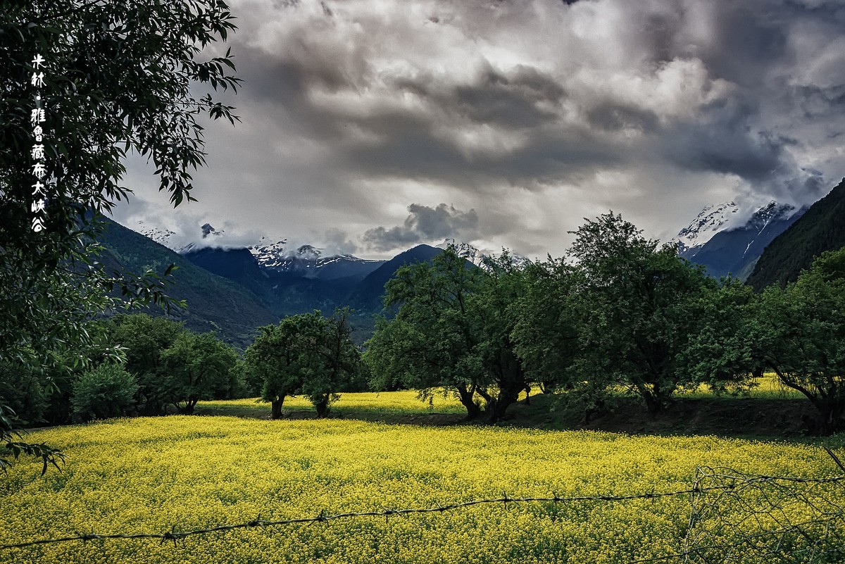 雅鲁藏布大峡谷