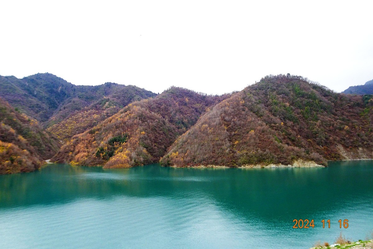 大熊猫国家公园扫描