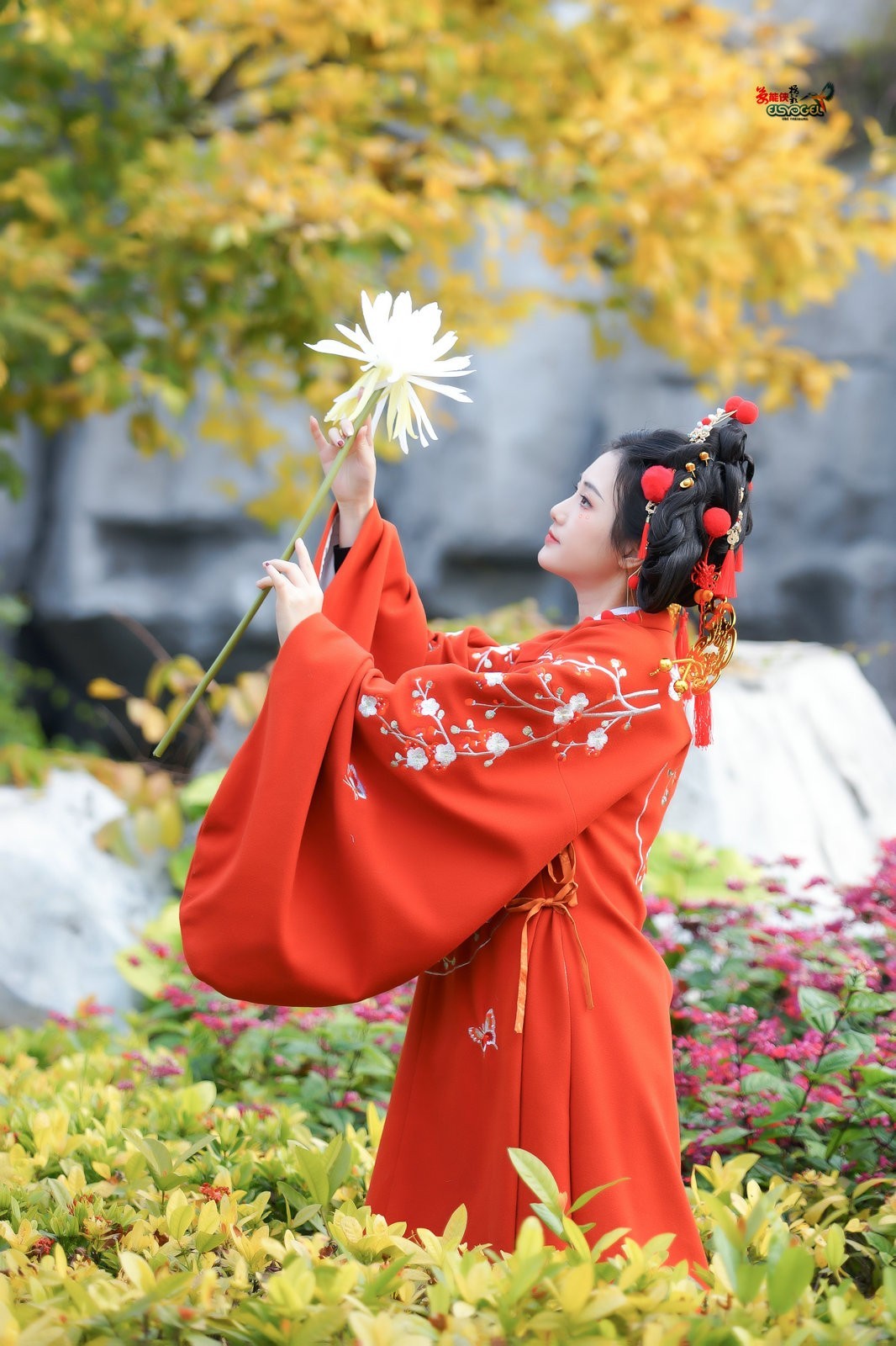 【财神少女】--- 半鹿