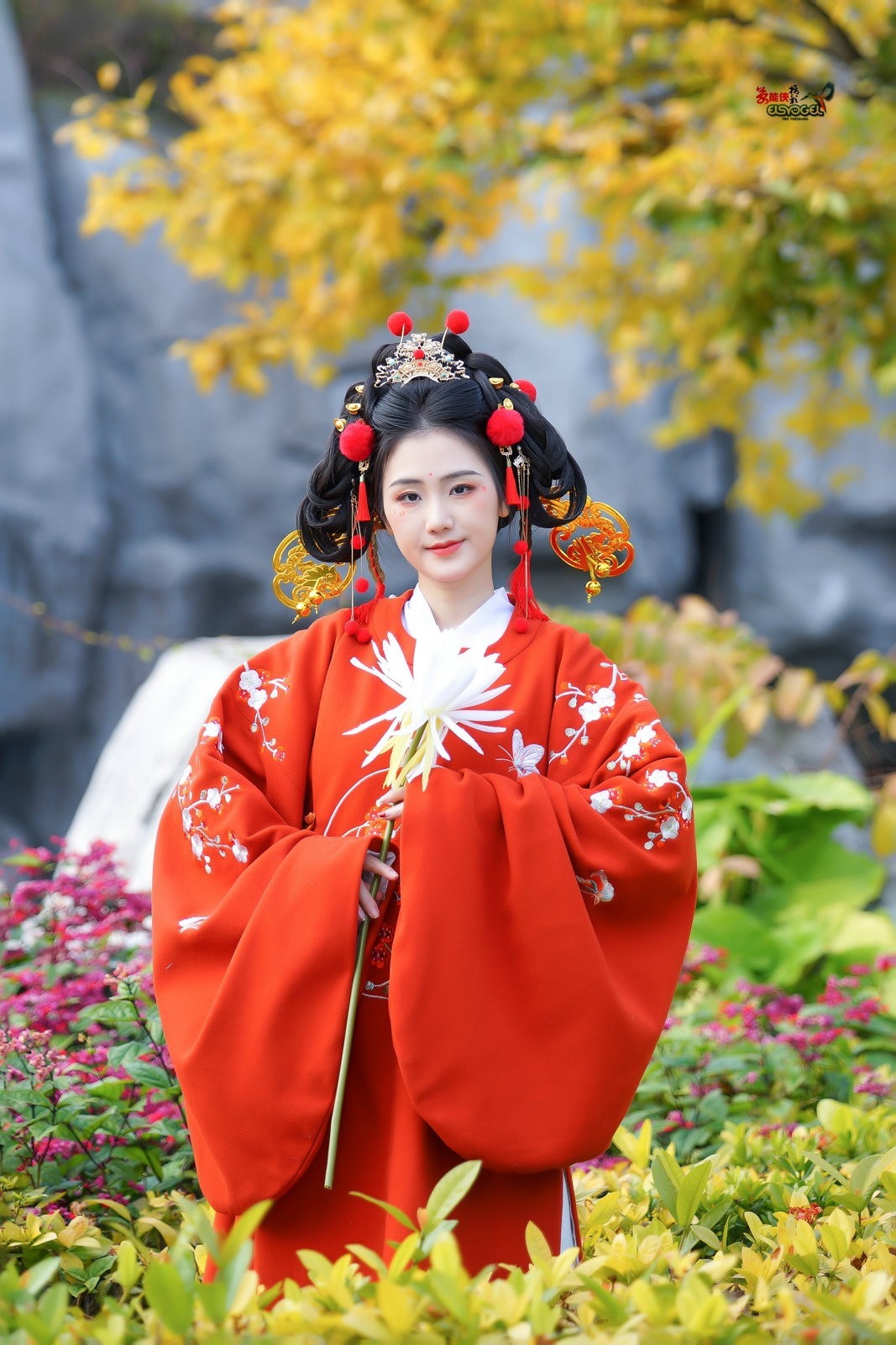 【财神少女】--- 半鹿