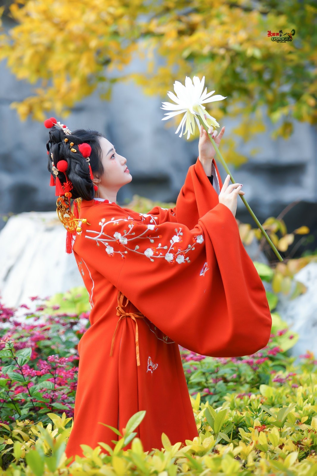 【财神少女】--- 半鹿