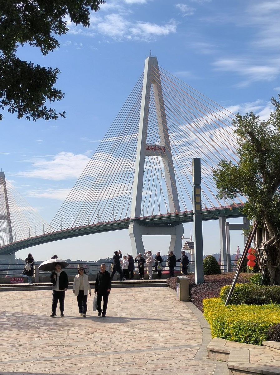 2025春节 广东行（19）观赏礐石大桥