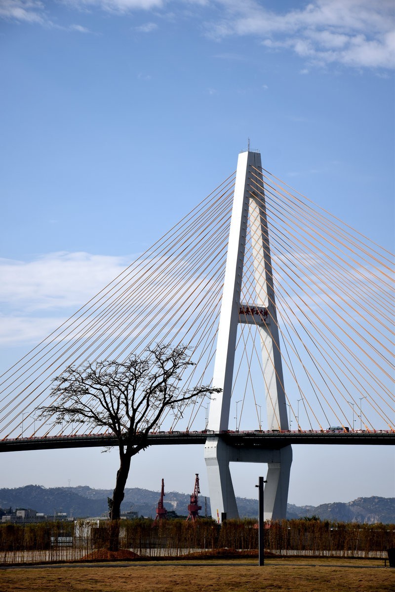 2025春节 广东行（19）观赏礐石大桥