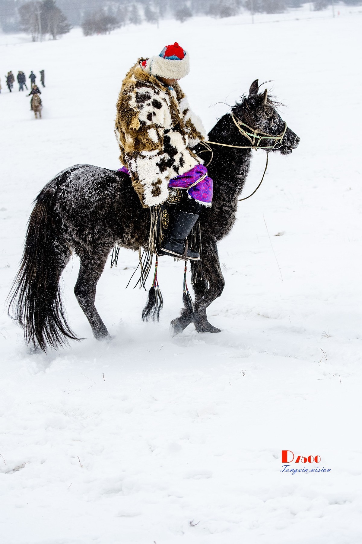 强健&靓丽的牧马人（41）