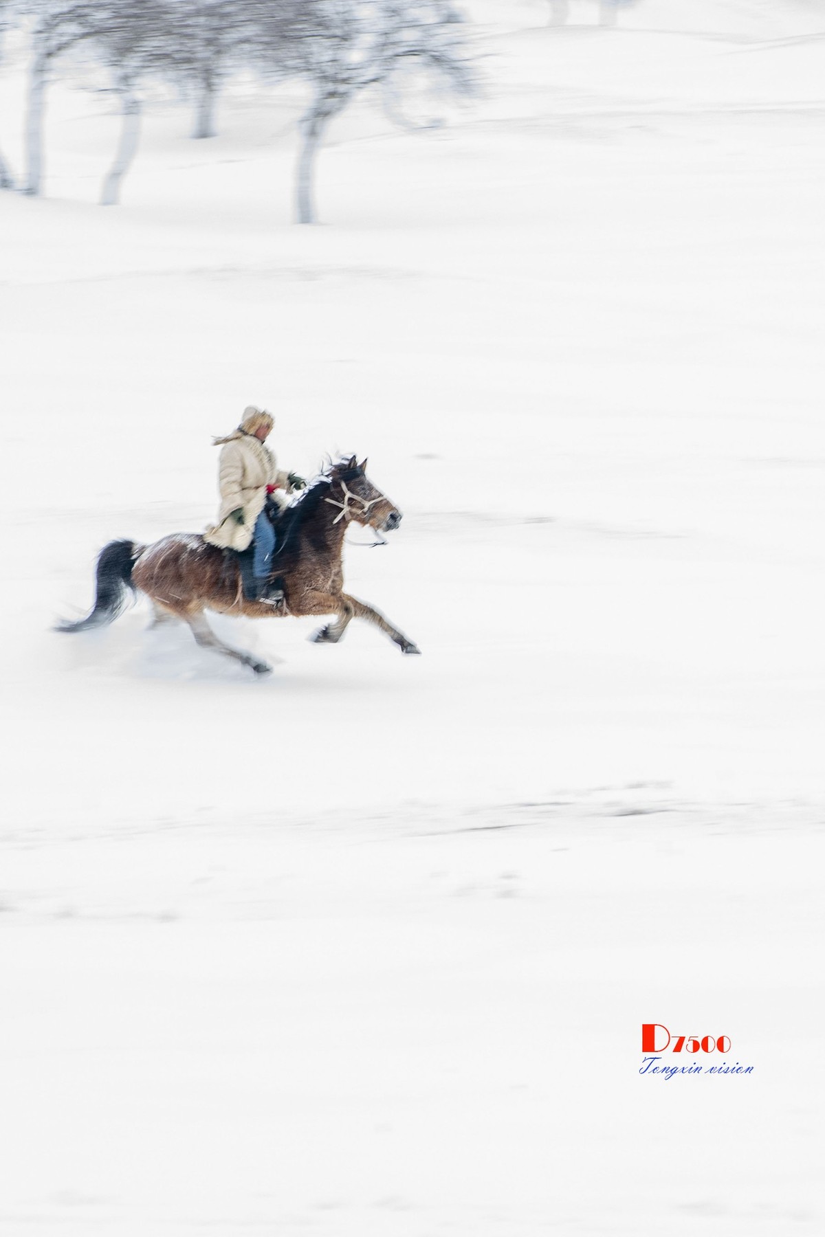 强健&靓丽的牧马人（41）