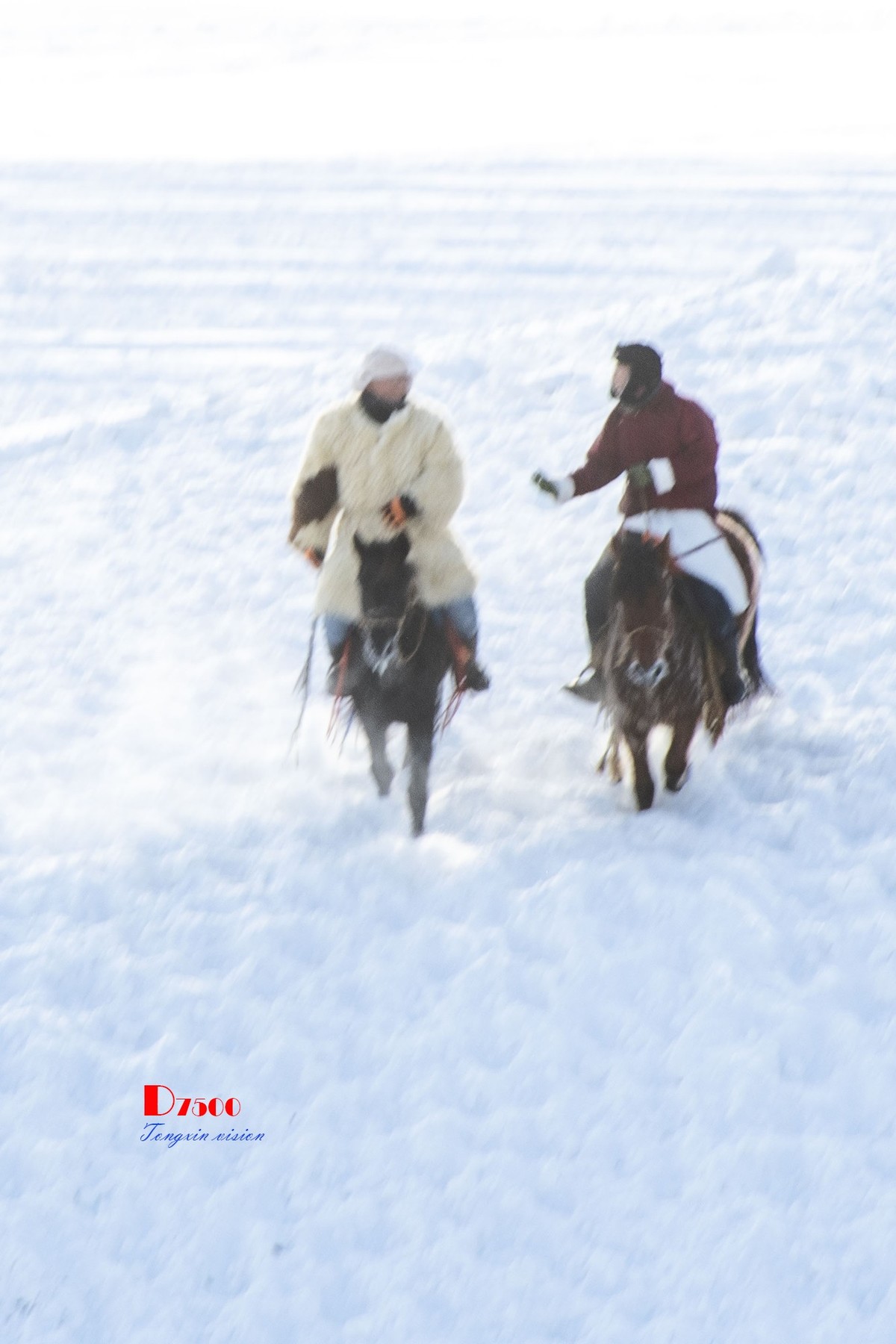 强健&靓丽的牧马人（41）