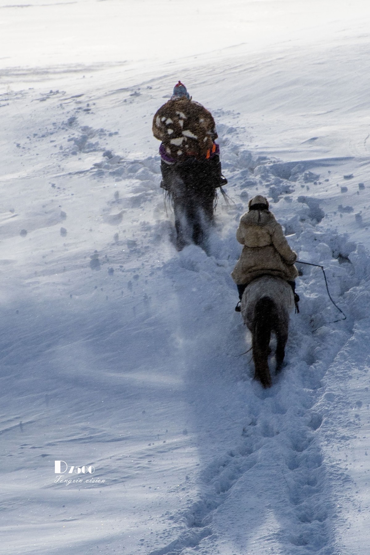 强健&靓丽的牧马人（41）