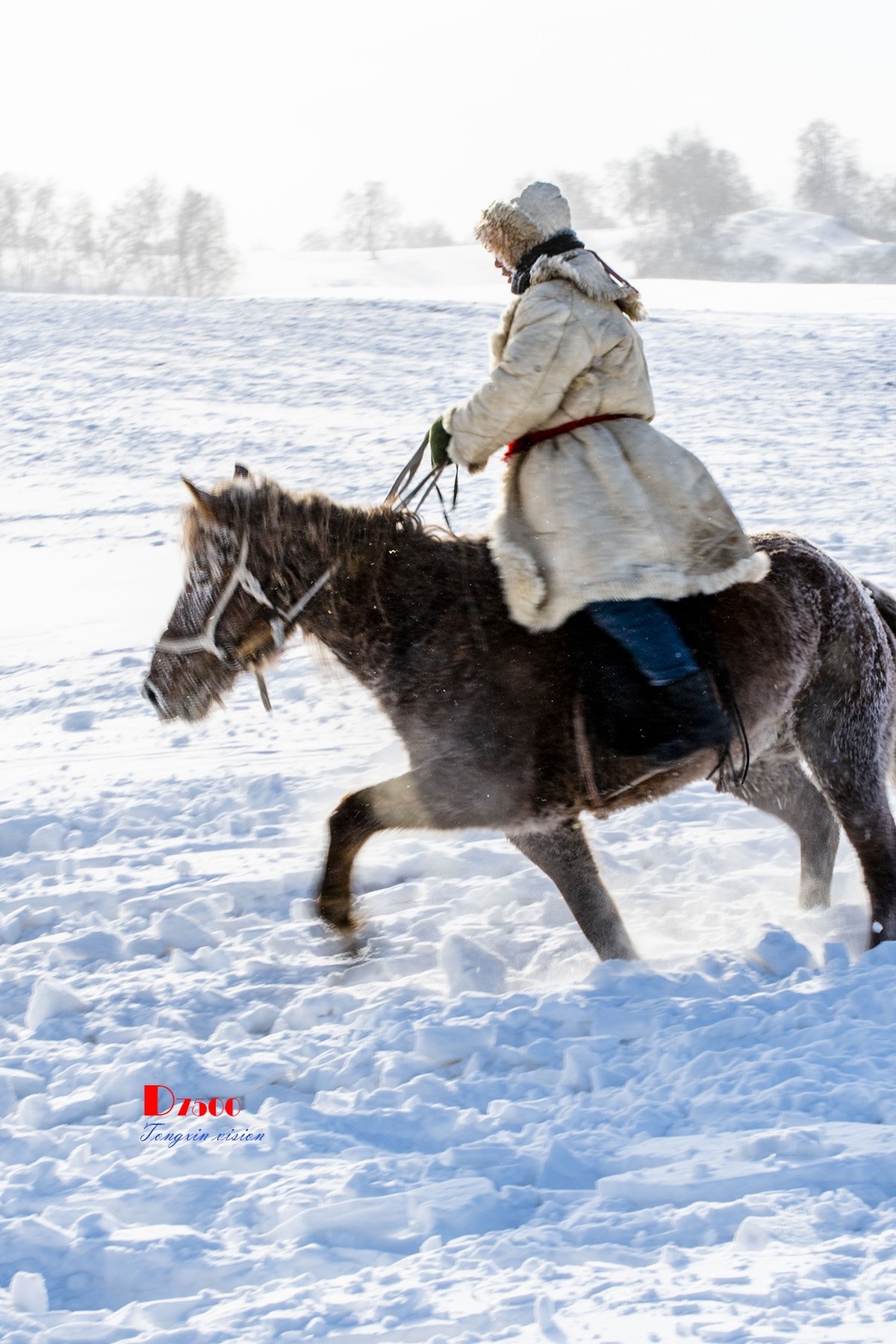 强健&靓丽的牧马人（41）
