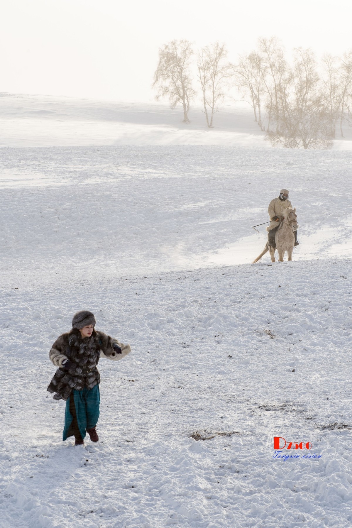 强健&靓丽的牧马人（41）