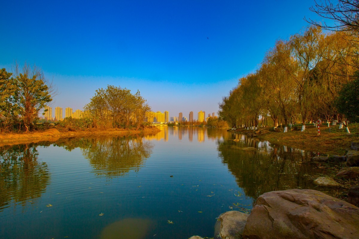 洋湖湿地公园 10