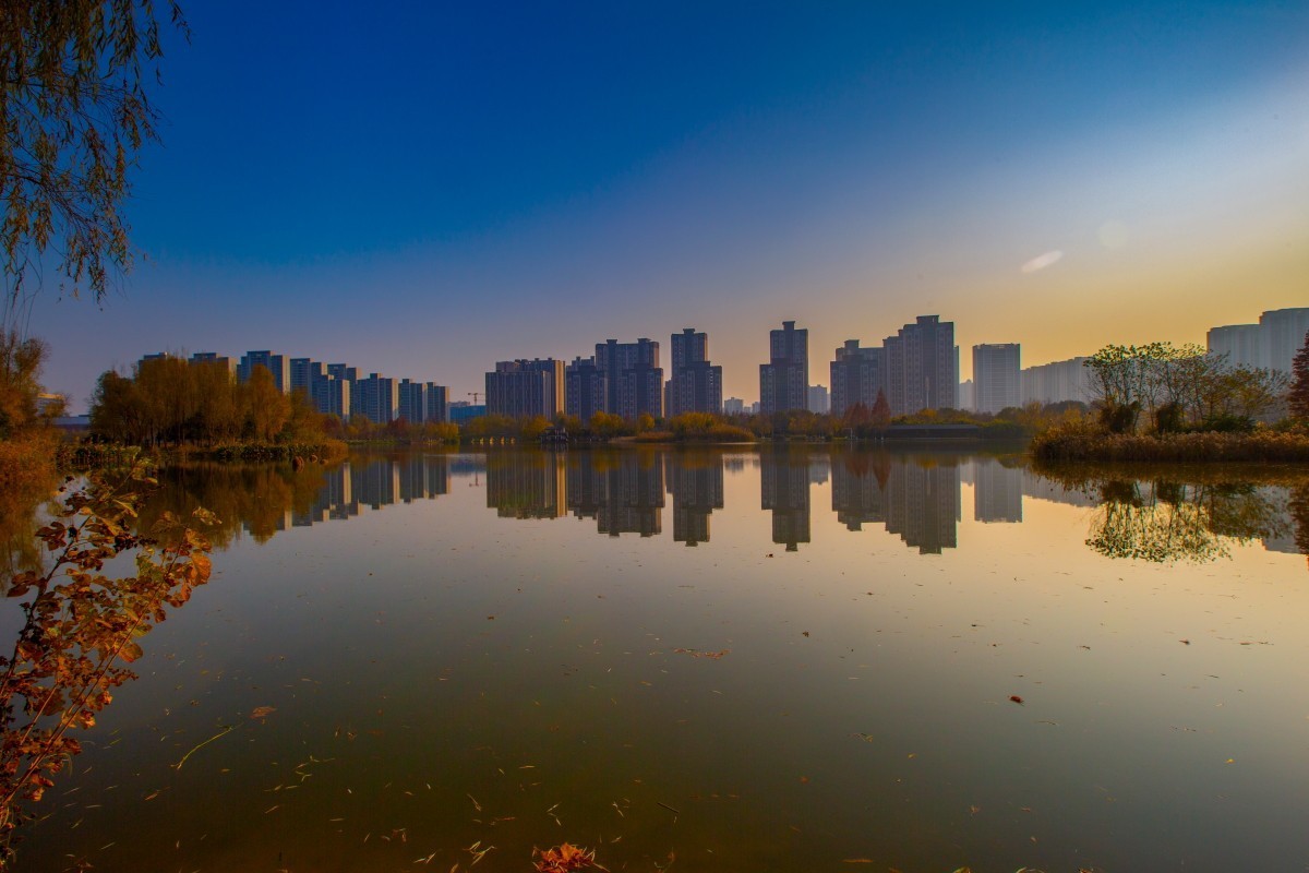 洋湖湿地公园 11