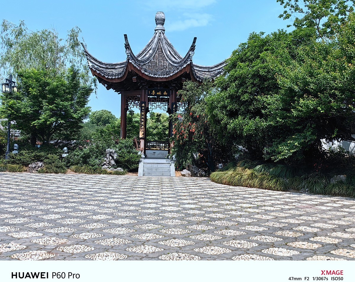 春日花叶汇----宁波植物园春拍