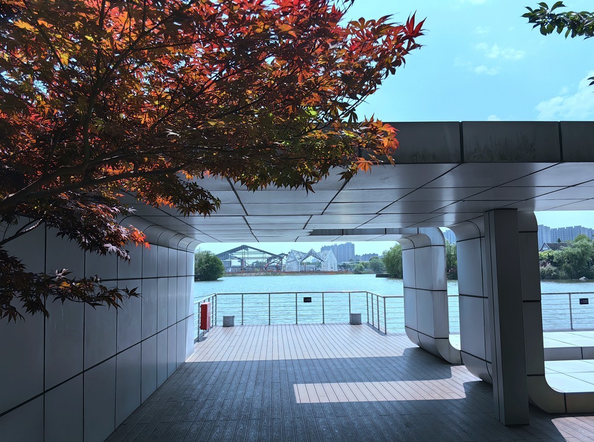 春日花叶汇----宁波植物园春拍