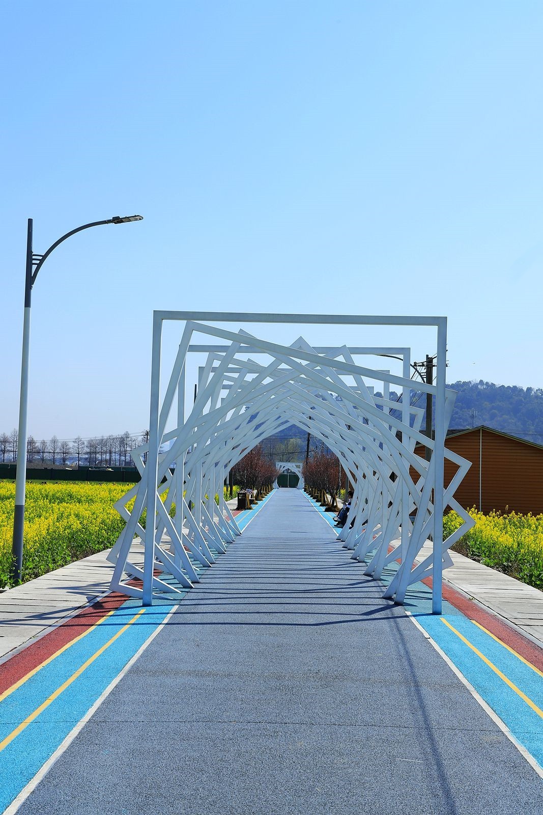 郭溪任桥村油菜花(5)