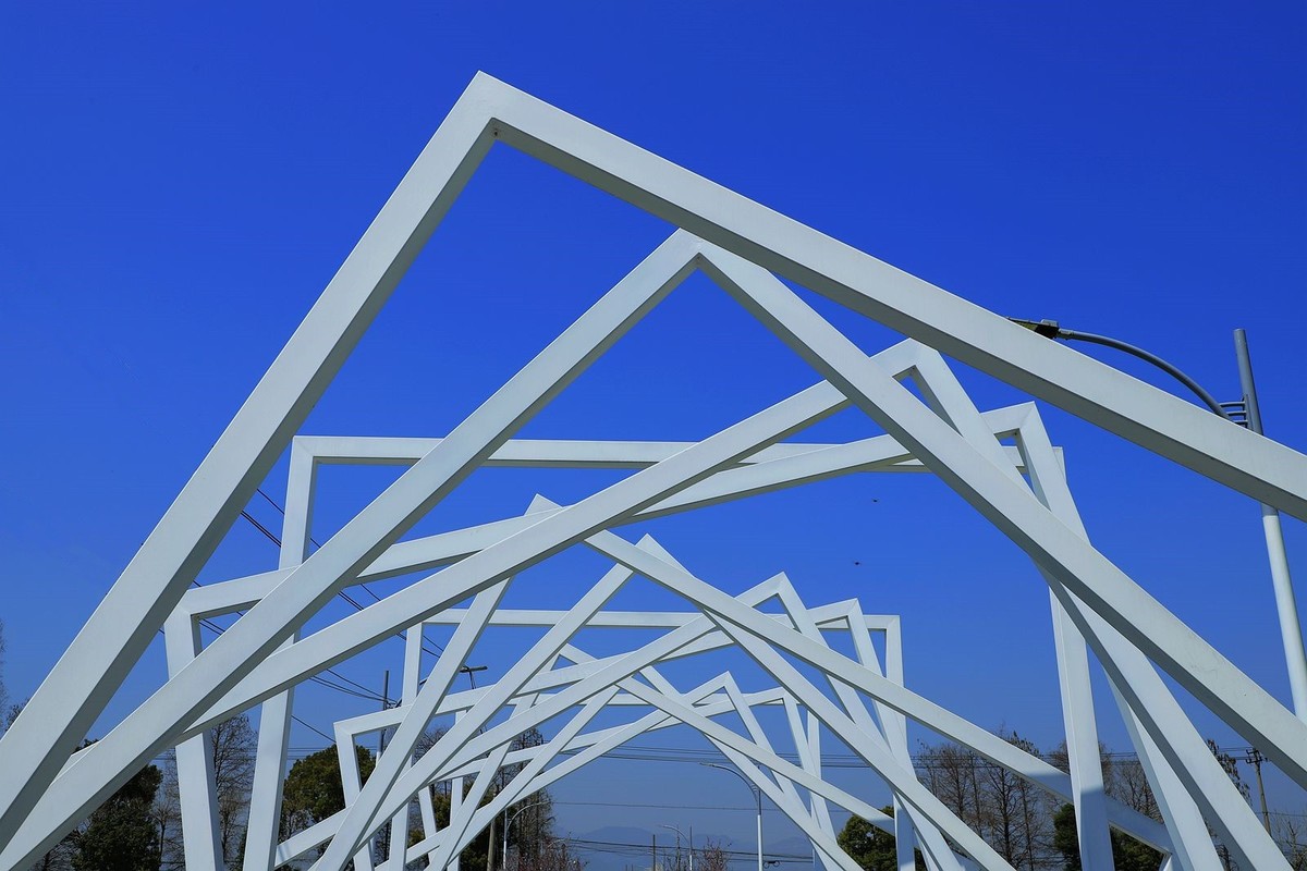 郭溪任桥村油菜花(5)