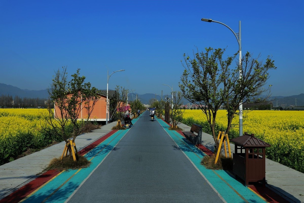 郭溪任桥村油菜花(5)
