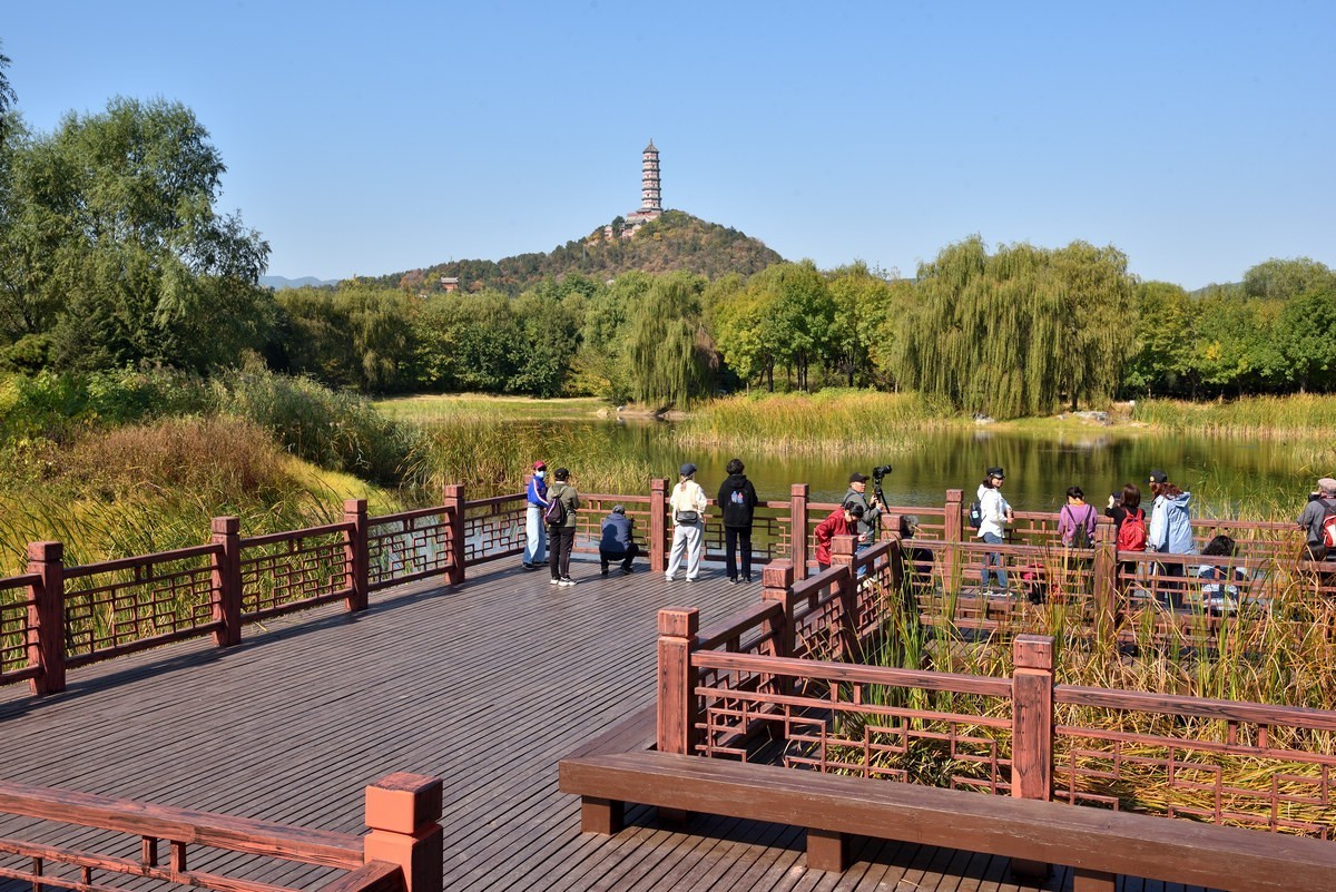 京西玉泉山下稻花飘香    1/3