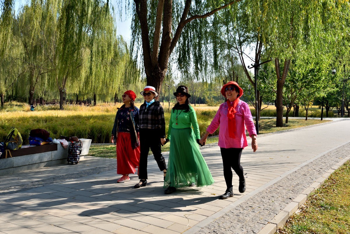 京西玉泉山下稻花飘香    1/3