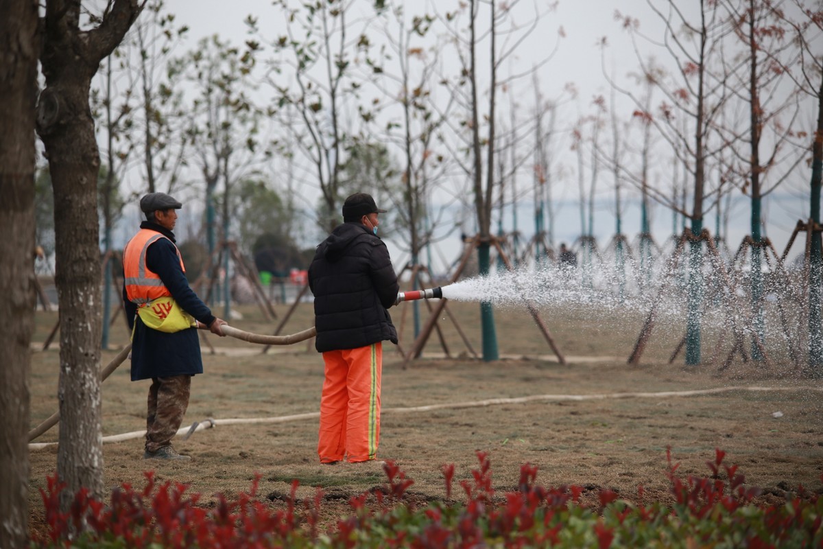 滨河景观带随拍之辛勤的园丁