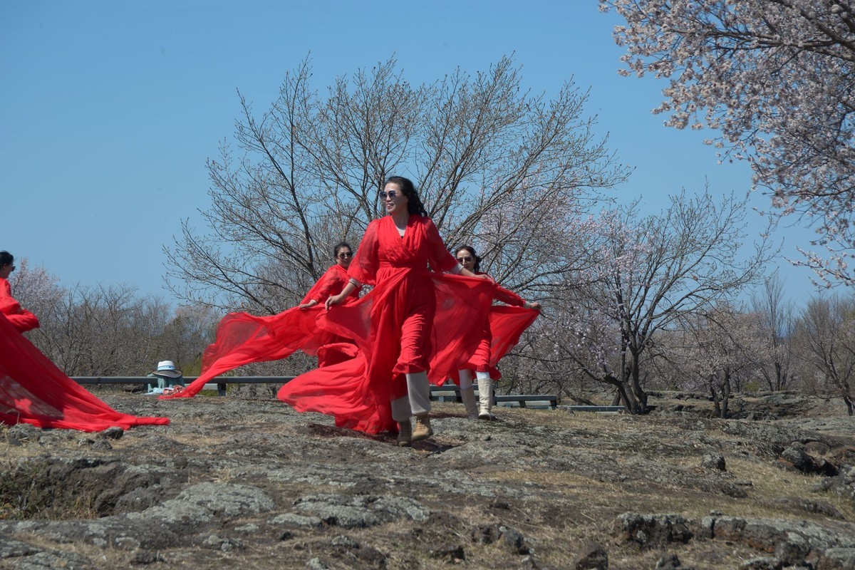 镜泊——火山岩台地杏花树林（5）