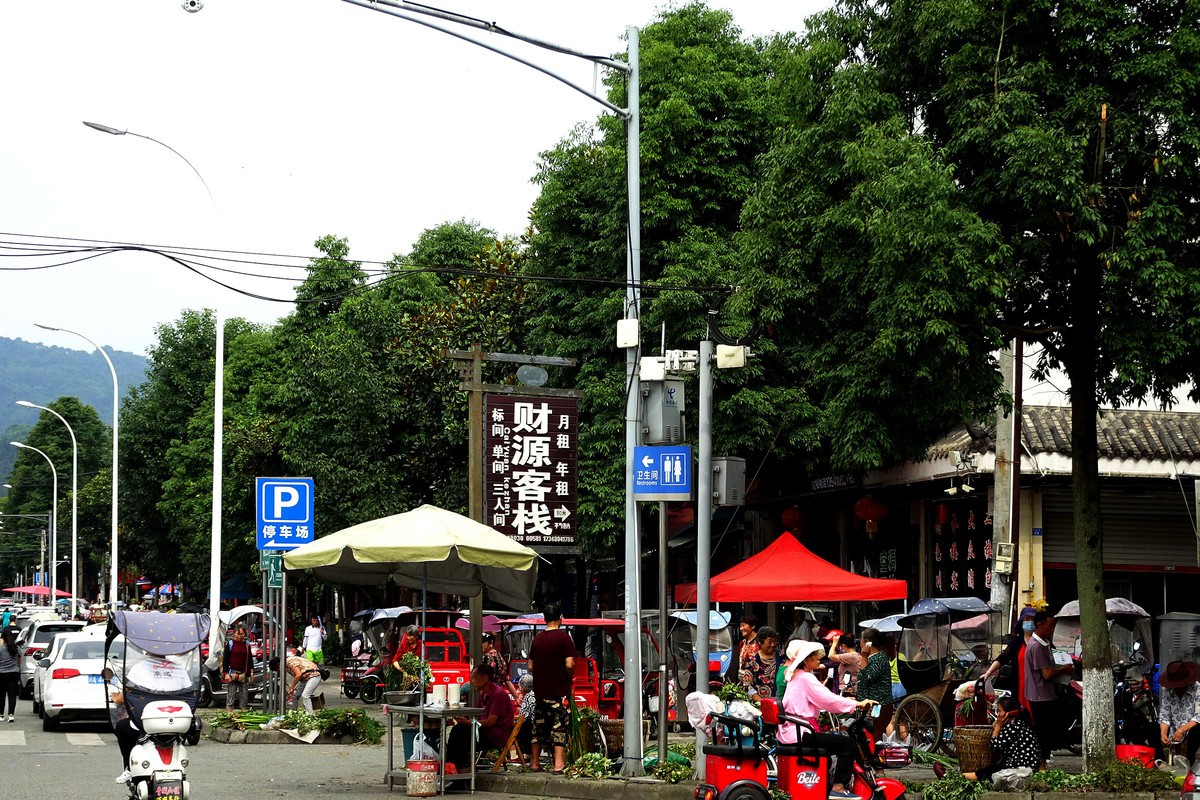 【端午节】青城山药王大道艾叶飘香