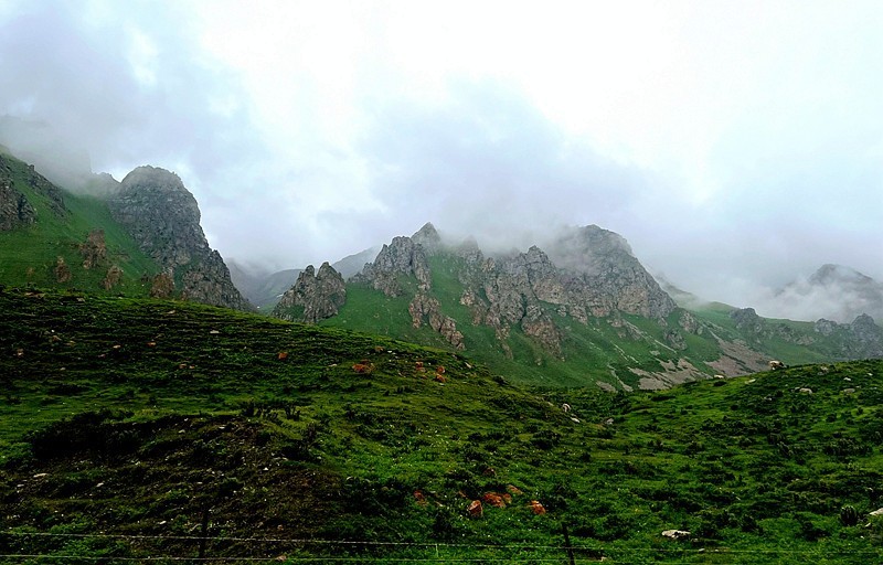 《不老松：纪实摄影》手机片：甘肃、新疆游！（23）唐布拉景区！（2）