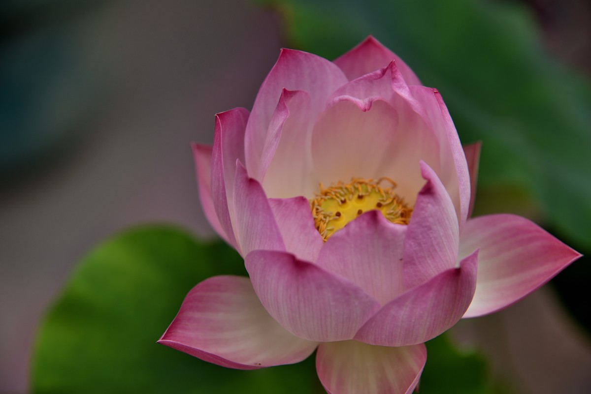 夏日新疆中部环线游拍——回到乌鲁木齐【1】