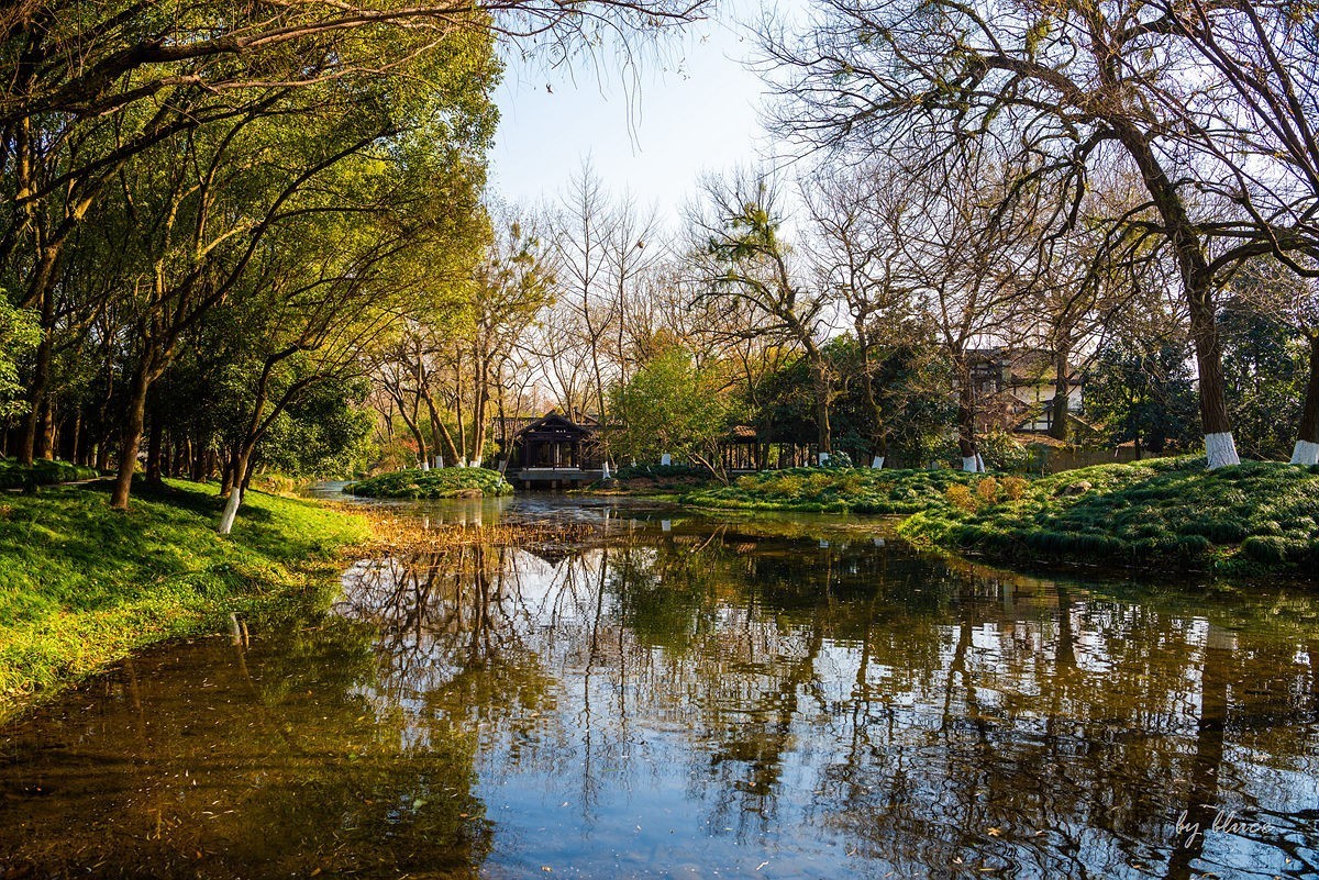 西湖冬景（15）