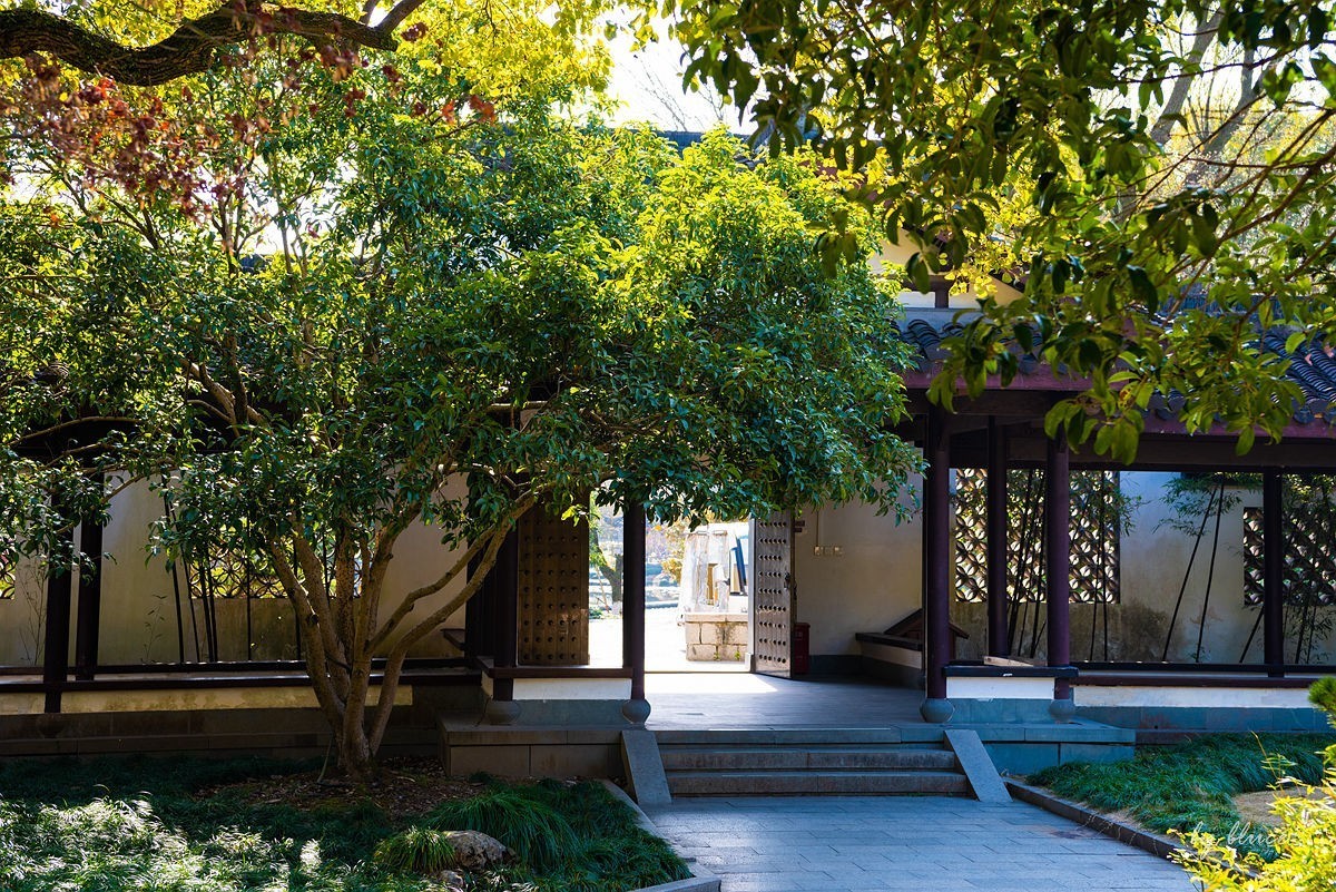 西湖冬景（15）