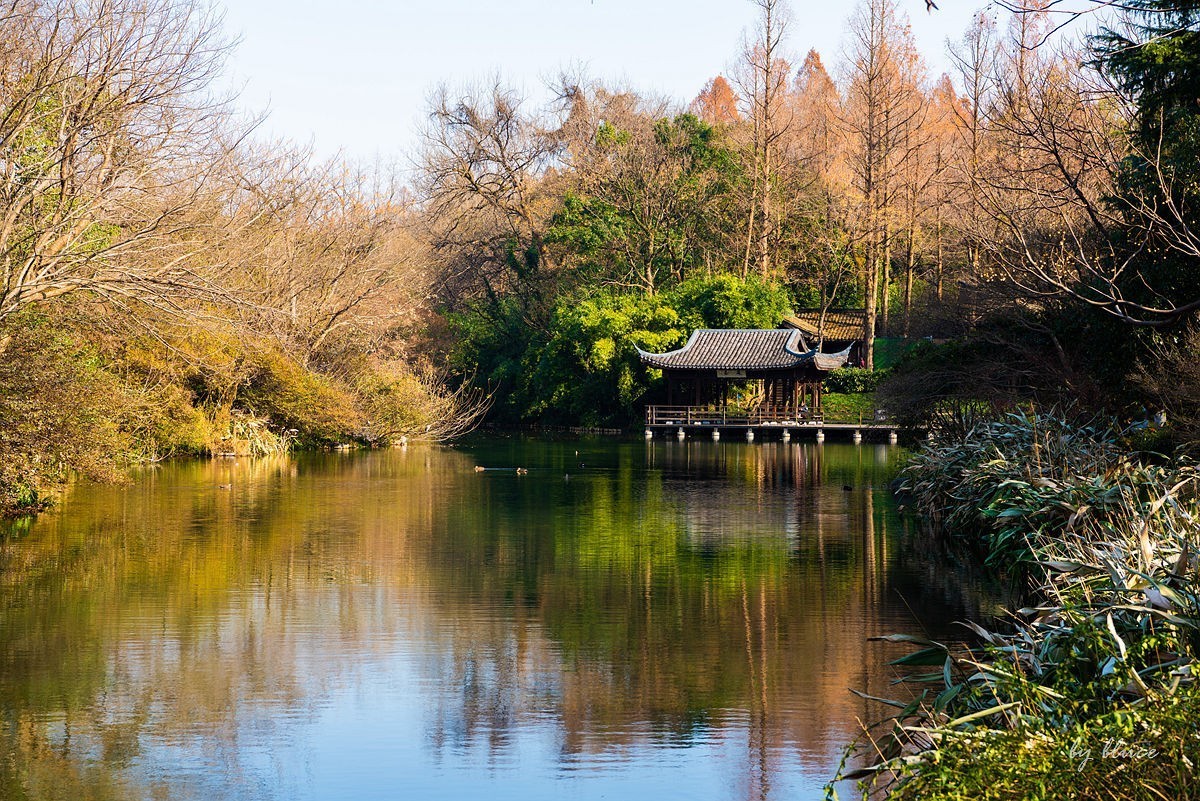 西湖冬景（15）