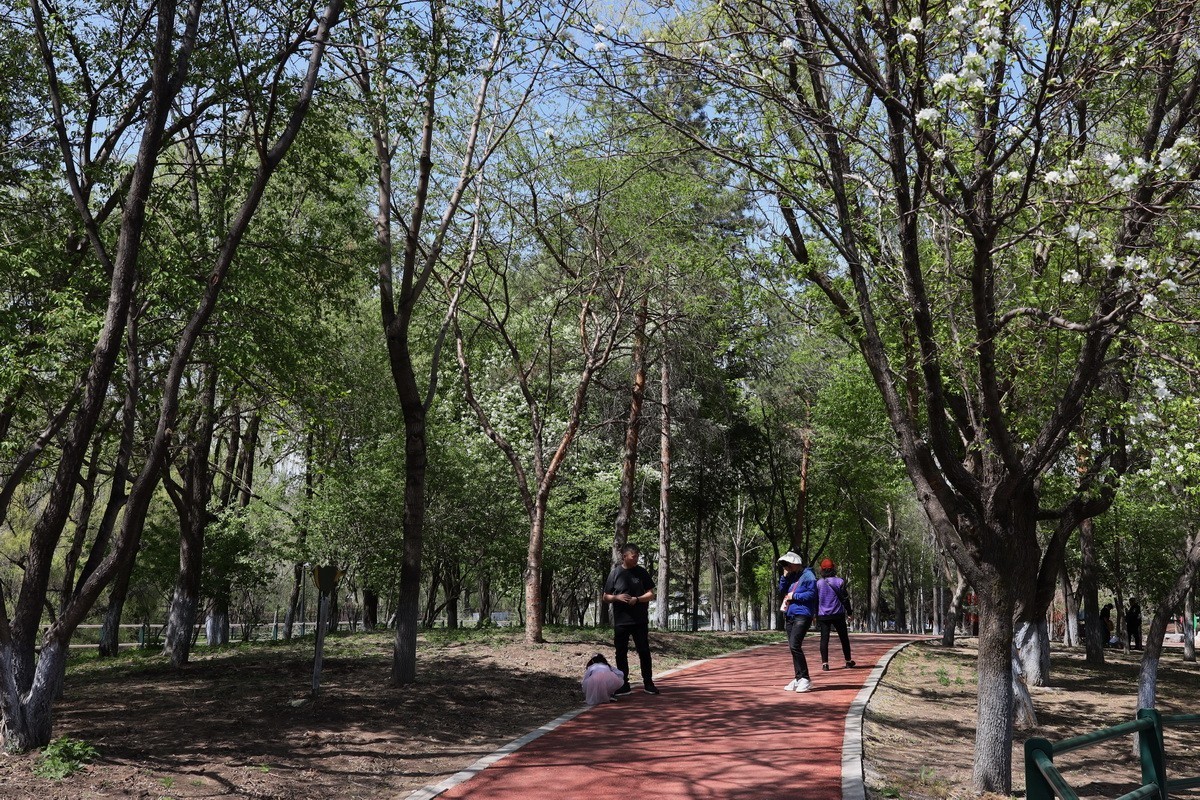 5.2日---公园漫步