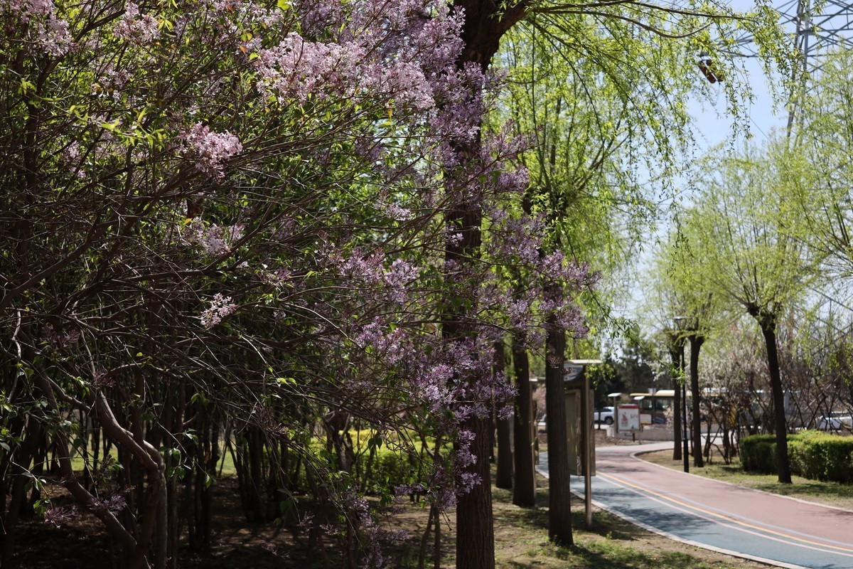 5.2日---公园漫步