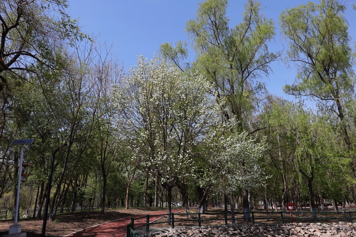 5.2日---公园漫步