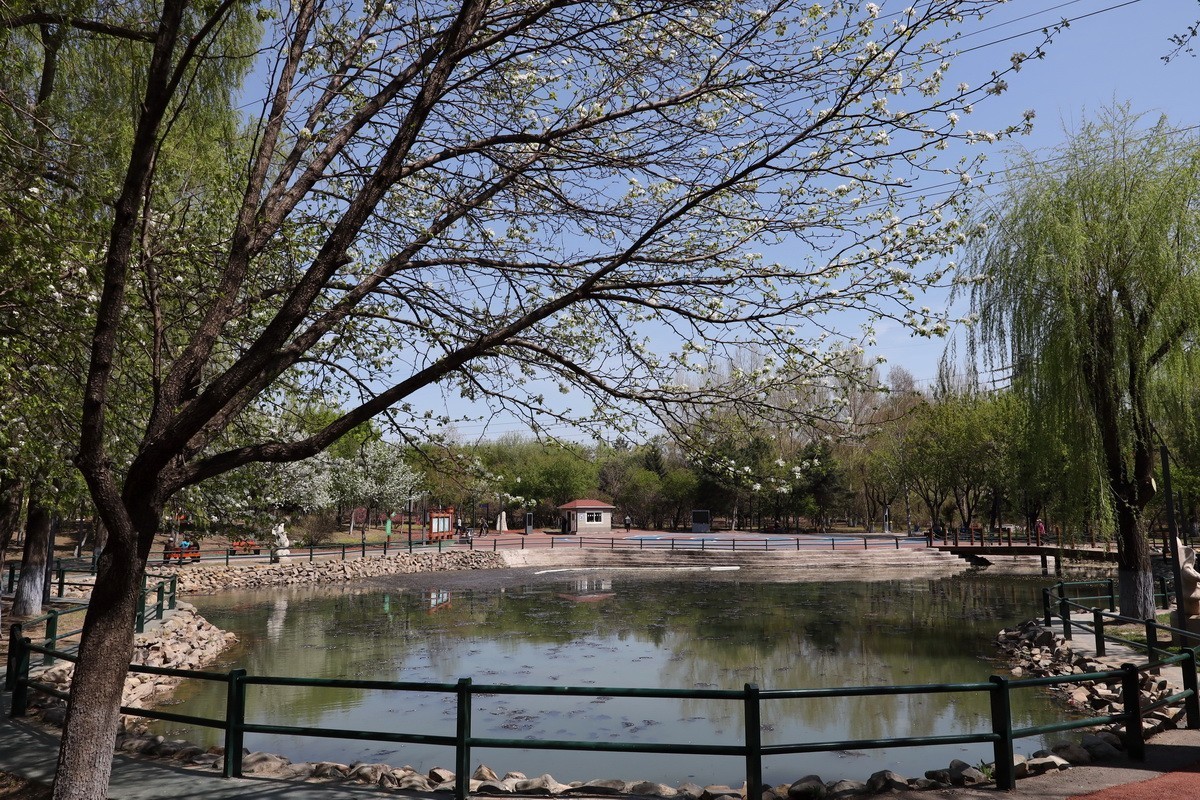 5.2日---公园漫步