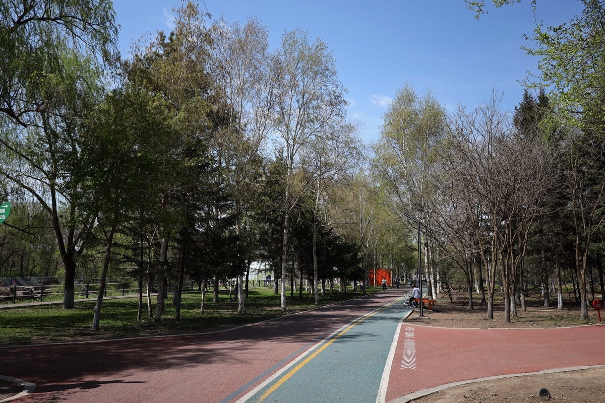 5.2日---公园漫步