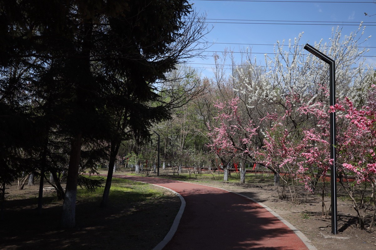 5.2日---公园漫步