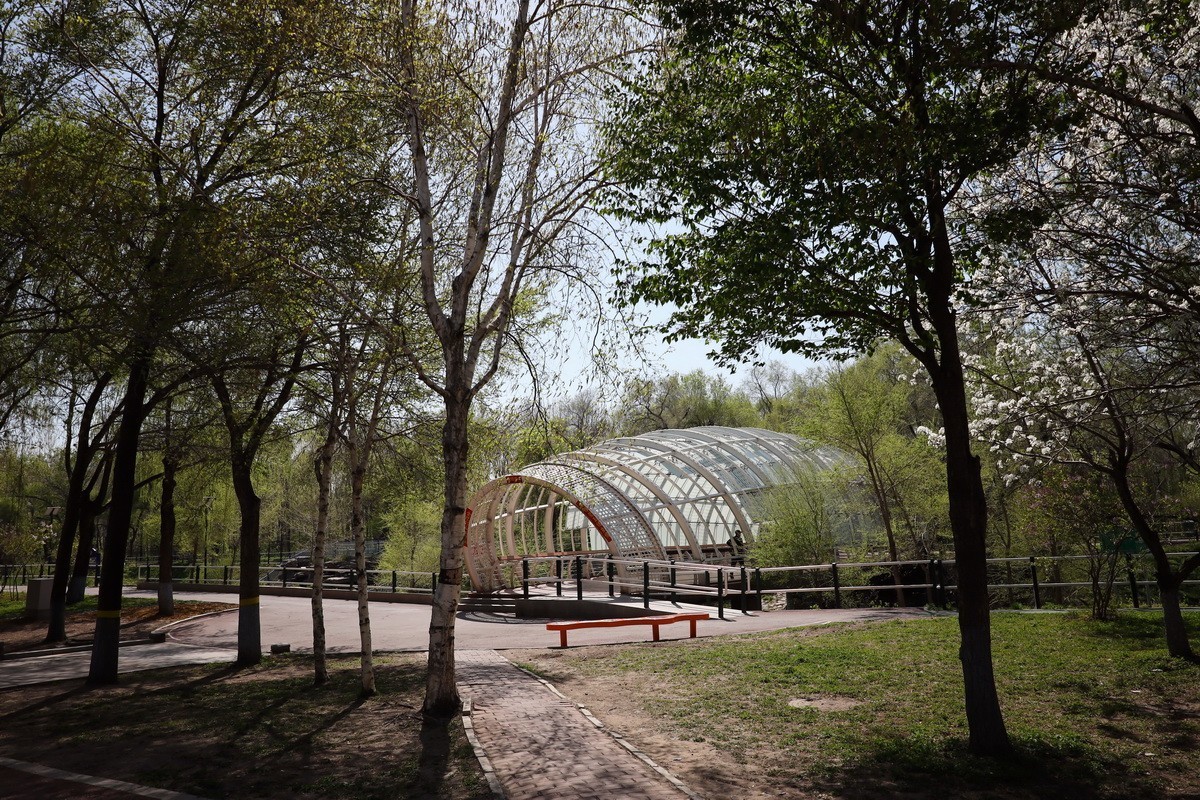 5.2日---公园漫步